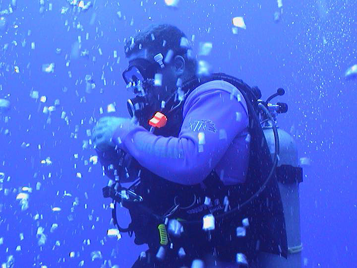 Scuba Diver and his bubbles - photo by Pepe Scuba - Scuba Diving Photo Gallery - Maya Expeditions Guatemala
