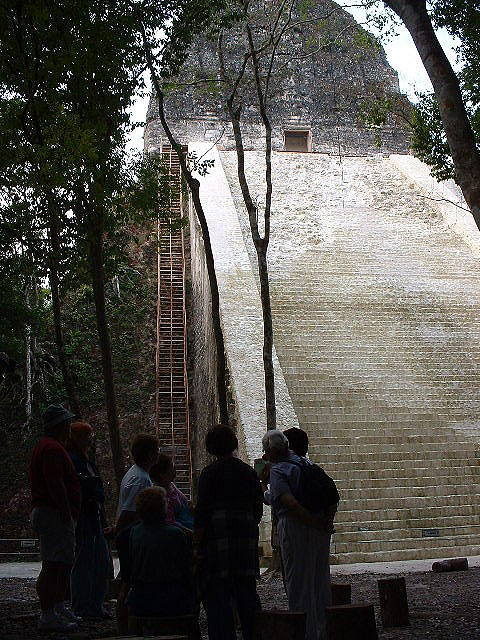 Temple V at Tikal - Maya Archaeological Site - Maya Expeditions