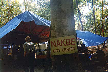 Nakbe Camp - Maya Expeditions