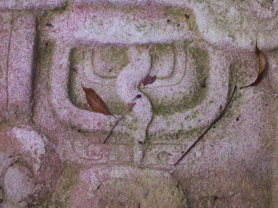 Detail of the Eye of a God Stelea - El Peru - Maya Expeditions