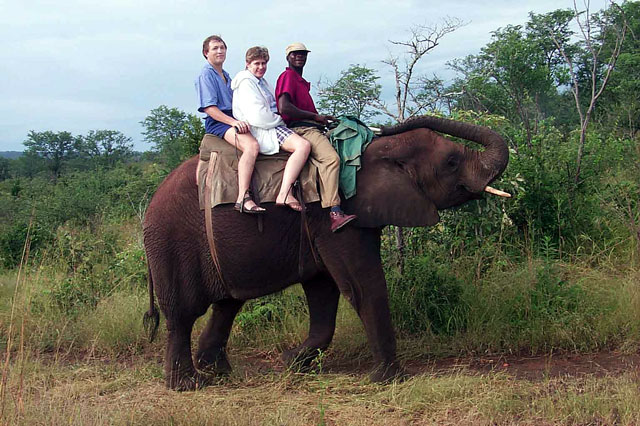 African Elephant Ride - Victoria Falls, Africa - Maya Expeditions