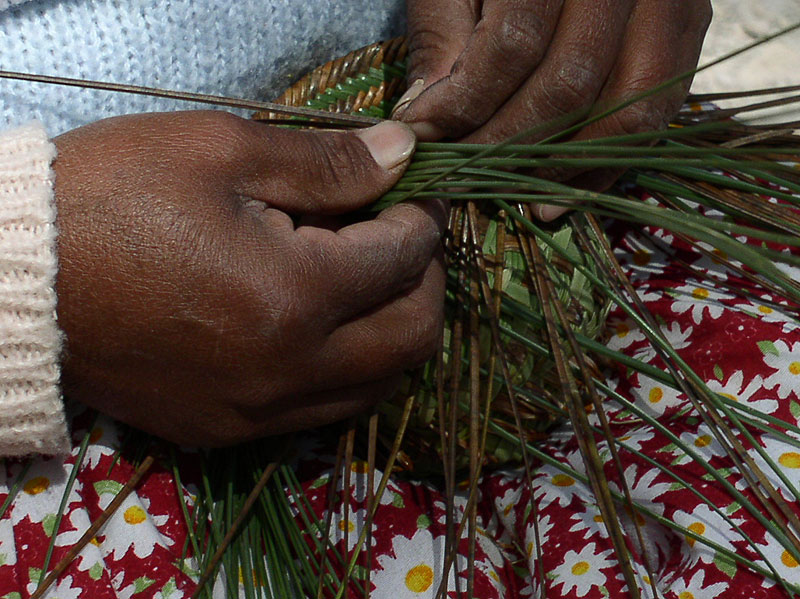 Raramuri women weaving a Pine needle basket weaving - Copper Canyon Adventures - Maya Expeditions