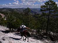 Horseback riding on the Canyon Rim