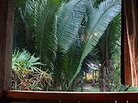 Candelaria Lodge - view from Bathroom - Maya Expeditions