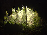 Candelaria Cave - El Mico Cave - Natural Window for Lunch spot - Maya Expeditions