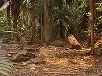 Cancuen Stelea - Maya Expeditions