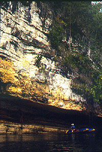 Limestone Wall - Chiquibul River