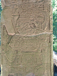 Welcome to Maya Expeditions  - Arroyo de Piedra Maya stelea