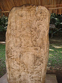 Ceibal 9 snake sacraficial stelea - Lake Petexbatun sites - Aguateca - Ceibal - Dos Pilas - Punta de Chimino - Arroyo de Piedra  Photo Gallery - Maya Expeditions
