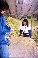 Yaxha Stelea - Maya Expeditions