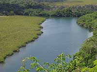 River for Snook and Tarpon Fishing - Maya Expeditions