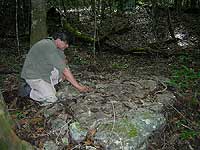 Archaeologist Enrique Salazar at La Muerta- Maya Expeditions