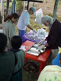 Flying Doctors of America - Dentists - Las Viñas, Peten, Guatemala - Maya Expeditions
